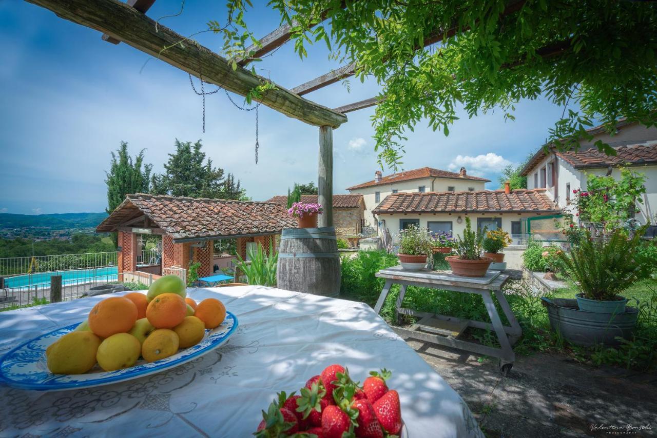 Agriturismo Corzano Barberino di Mugello Exteriér fotografie